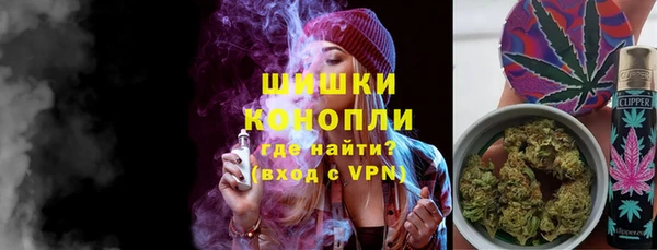 шишки Гусиноозёрск