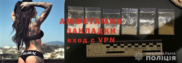 шишки Гусиноозёрск