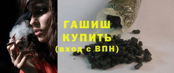 шишки Гусиноозёрск