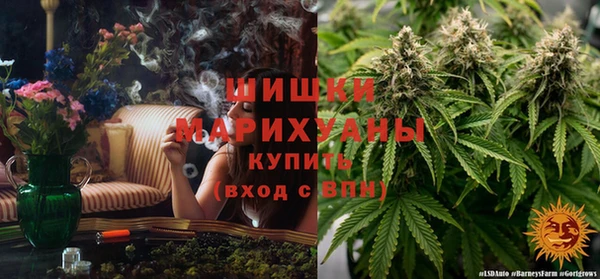 СК Горнозаводск