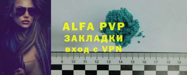 шишки Гусиноозёрск