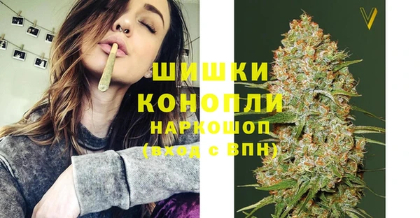СК Горнозаводск