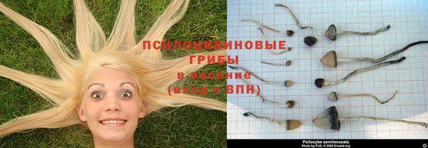 спайс Горно-Алтайск
