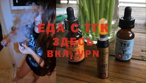 шишки Гусиноозёрск