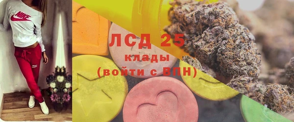 шишки Гусиноозёрск
