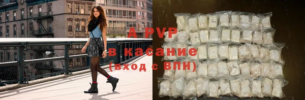 шишки Гусиноозёрск