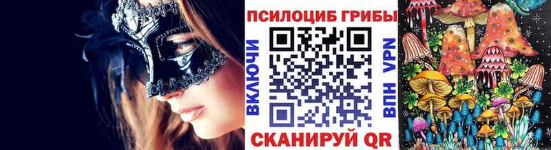 Купить закладки  Кирсанов  Псилоцибиновые грибы Magic Shrooms 